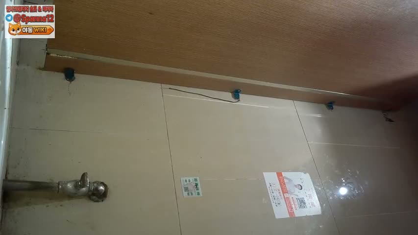 화장실에 딜도로 자위하다 딱걸림